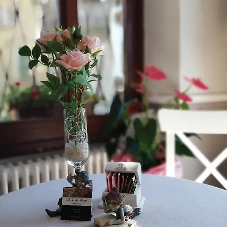 Il Folletto Del 斯特雷萨